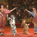 cirqus1