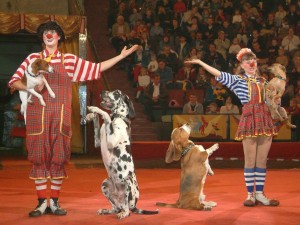 cirqus1