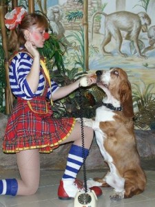 cirqus2 cirqus2