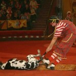 cirqus3