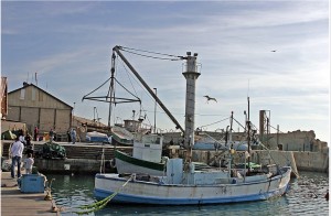 dayegim7