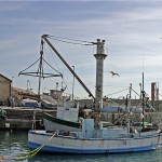 dayegim7