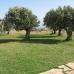 "Гиват Олам" - "Крыша мира"