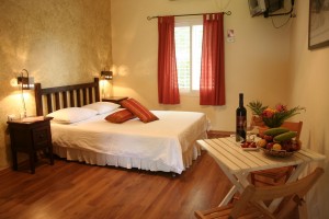 "Лунная Ночь" в кибуце Гааш