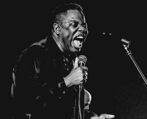 Рой Янг и The Delta 5 Blues Band 